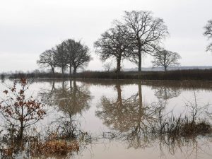 Longdon Marsh in Flood